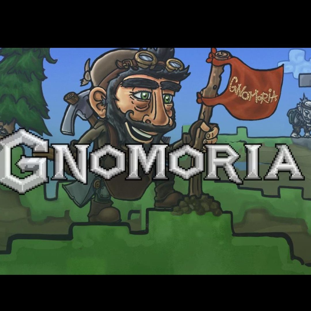 gnom_800_1