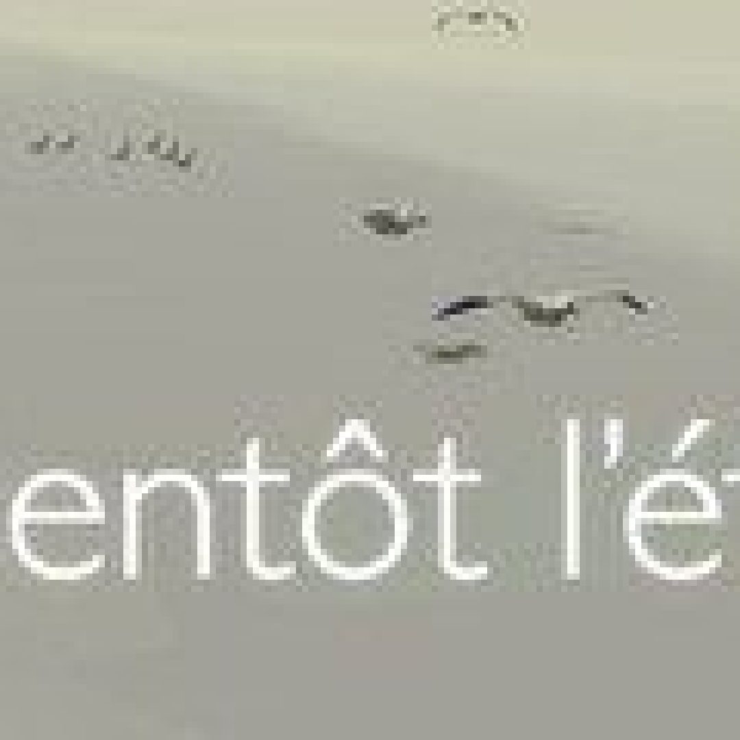 header_292x136_256